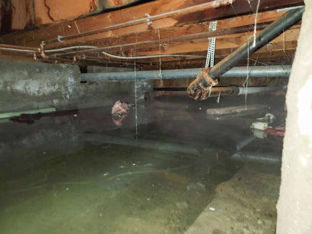 Best Sewage cleanup and water damage restoration  in Souderton, PA