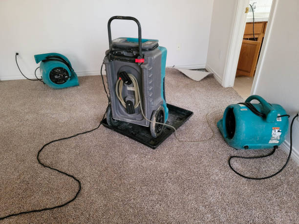 Best Flood damage cleanup  in Souderton, PA