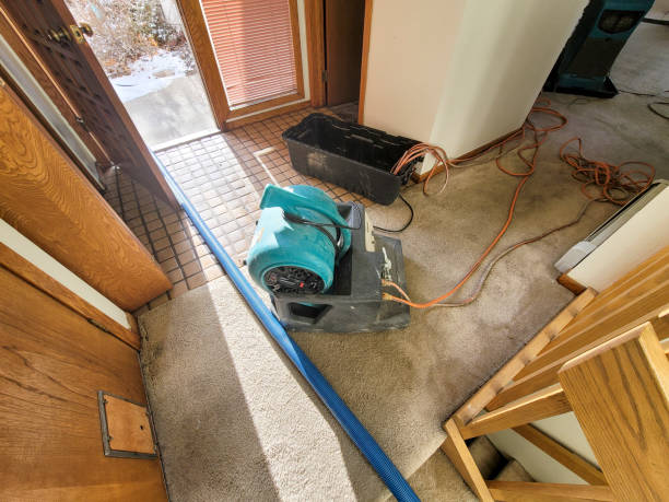 Best Water damage repair service  in Souderton, PA