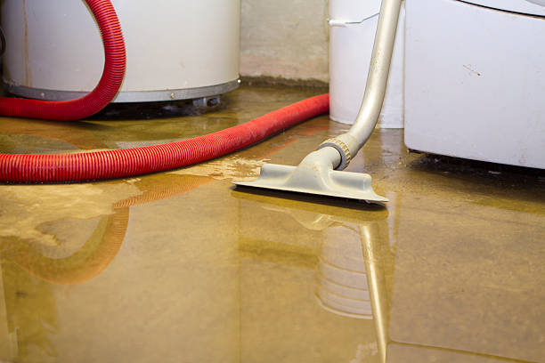Best Water damage contractors near me  in Souderton, PA