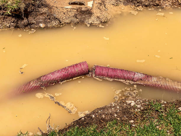 Best 24-hour water damage restoration  in Souderton, PA